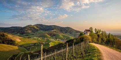 Schloss im Rebberg